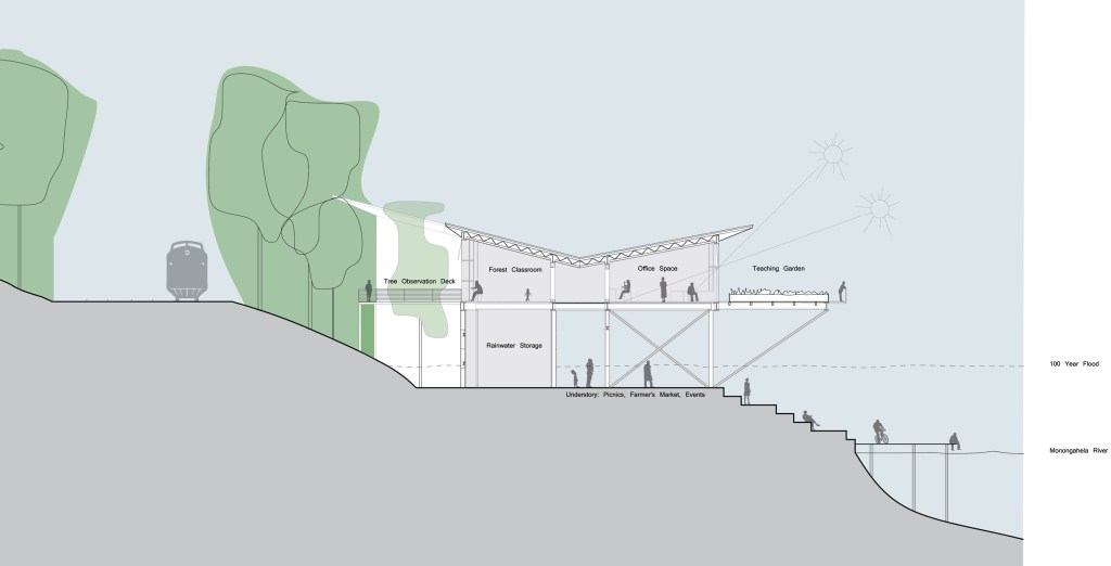 Transverse Section from Railroad to River, through Forest Classroom, Offices, and Hanging Gardens, and Step Benches